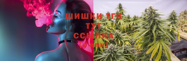 прущие грибы Богородицк